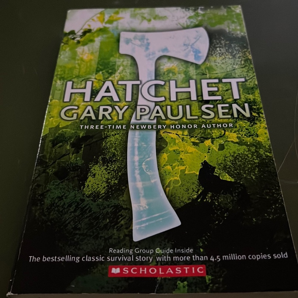 BOOK TITLED HATCHET 🪓.